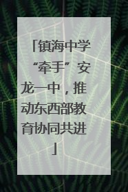 镇海中学“牵手”安龙一中，推动东西部教育协同共进
